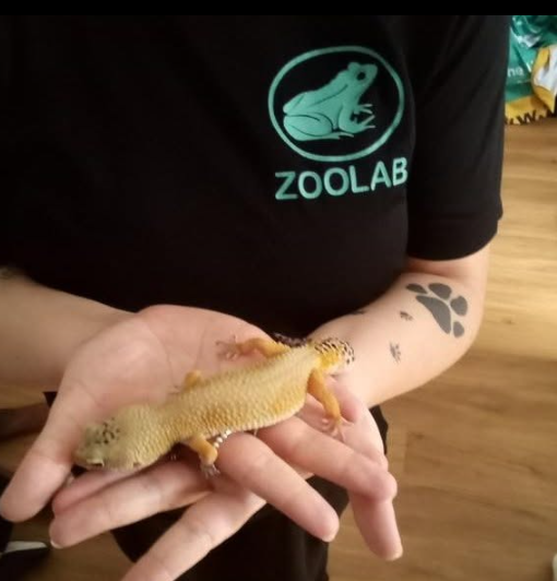 Learning Through Animal Encounters with ZooLab